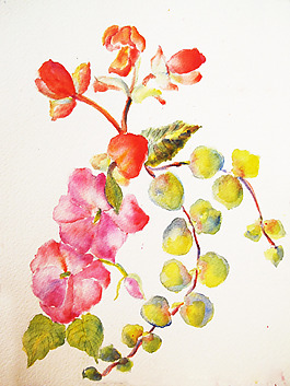 位圖 植物 寫(xiě)意花卉 花朵 免費(fèi)素材