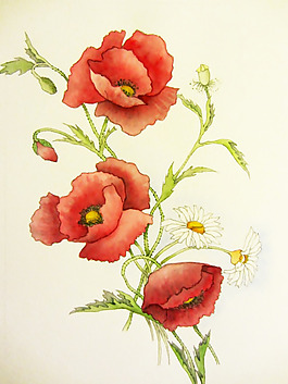 位圖 植物 寫意花卉 花朵 免費(fèi)素材