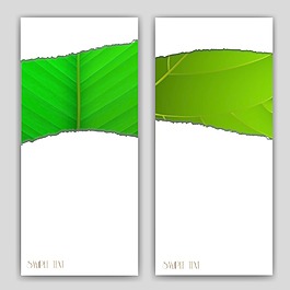 生態(tài)立旗