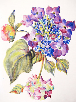 位圖 植物 寫意花卉 花朵 免費素材