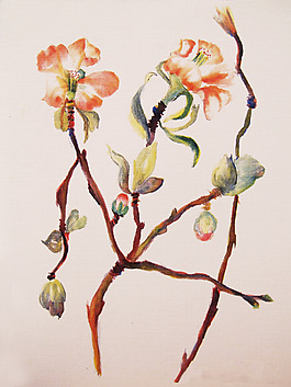 位圖 植物 寫意花卉 花朵 免費素材