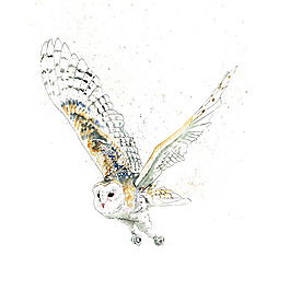 位圖 插畫 動(dòng)物插畫 藝術(shù)效果 手繪 免費(fèi)素材