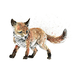 位圖 插畫(huà) 動(dòng)物插畫(huà) 藝術(shù)效果 手繪 免費(fèi)素材