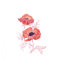 位圖 植物 寫意花卉 花朵 免費(fèi)素材
