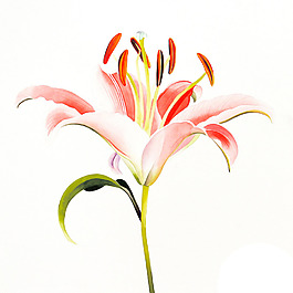 位圖 植物 寫(xiě)意花卉 花朵 百合 免費(fèi)素材