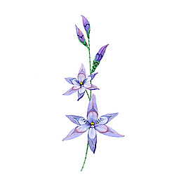 位圖 植物 寫意花卉 花朵 免費(fèi)素材