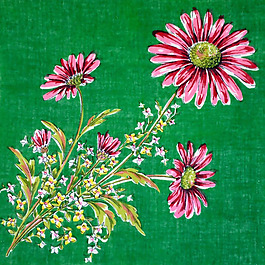 位圖 插畫(huà) 時(shí)尚插畫(huà) 植物插畫(huà) 藝術(shù)效果 免費(fèi)素材