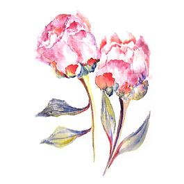位圖 植物 寫(xiě)意花卉 花朵 免費(fèi)素材