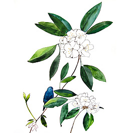 位圖 植物 寫意花卉 花朵 免費(fèi)素材