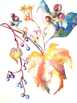位圖 植物 寫意花卉 花朵 免費(fèi)素材