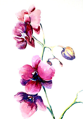位圖 植物 寫(xiě)意花卉 花朵 免費(fèi)素材