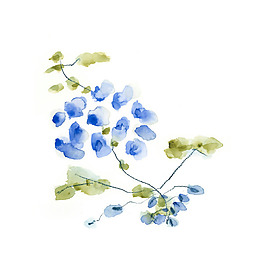 位圖 植物 寫意花卉 花朵 免費(fèi)素材