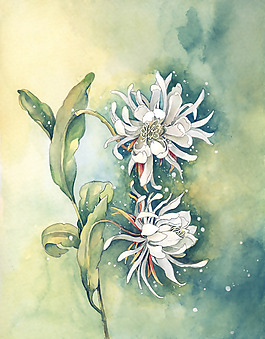 位圖 插畫 時尚插畫 植物插畫 插畫師 免費素材