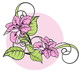 粉紅色的雛菊蓬勃的角落