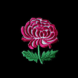 繡花 植物 花朵 貼布 免費(fèi)素材