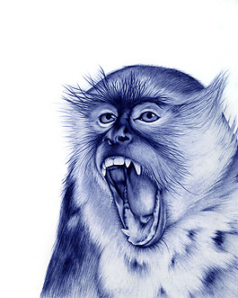 位圖 插畫(huà) 時(shí)尚插畫(huà) 動(dòng)物插畫(huà) 插畫(huà)師 免費(fèi)素材