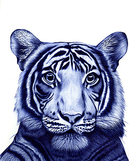 位圖 插畫 時尚插畫 動物插畫 插畫師 免費素材