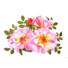位圖 植物 寫(xiě)意花卉 花朵 免費(fèi)素材