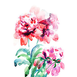 位圖 植物 寫意花卉 花朵 免費素材