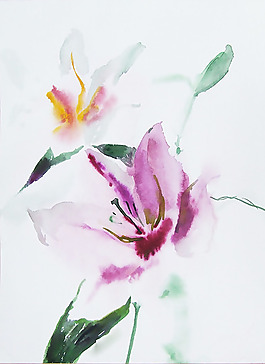 位圖 植物 寫意花卉 花朵 免費(fèi)素材