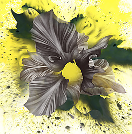 位圖 插畫 時尚插畫 植物插畫 植物插畫 免費(fèi)素材