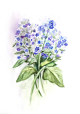 位圖 植物 寫意花卉 花朵 免費(fèi)素材