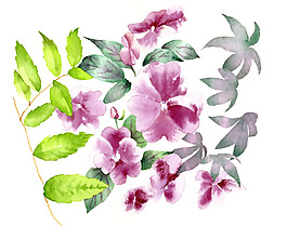 位圖 植物 寫(xiě)意花卉 花朵 免費(fèi)素材
