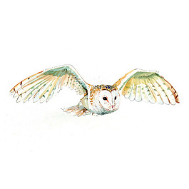 位圖 插畫 時尚插畫 動物插畫 藝術(shù)效果 免費素材