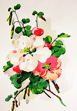 位圖 植物 寫意花卉 花朵 免費素材