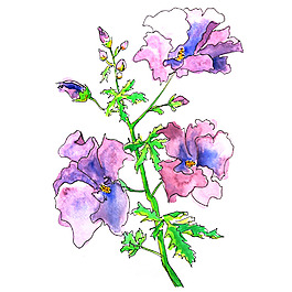 位圖 植物 寫意花卉 花朵 免費(fèi)素材