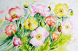 位圖 植物 寫意花卉 花朵 免費素材