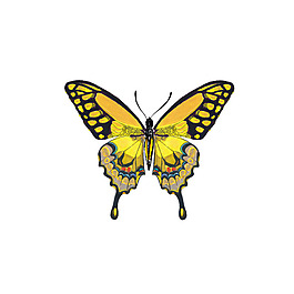 位圖 插畫(huà) 時(shí)尚插畫(huà) 動(dòng)物插畫(huà) 藝術(shù)效果 免費(fèi)素材