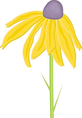 花枝