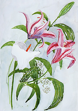 位圖 植物 寫(xiě)意花卉 花朵 百合 免費(fèi)素材
