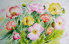 位圖 植物 寫(xiě)意花卉 花朵 免費(fèi)素材
