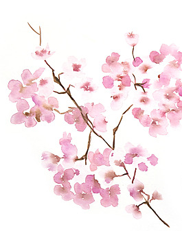 位圖 植物 寫意花卉 花朵 桃花 免費(fèi)素材