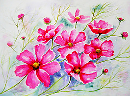 位圖 植物 寫意花卉 花朵 免費(fèi)素材