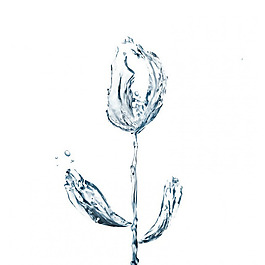 位圖 插畫 時尚插畫 藝術(shù)效果 手繪 免費(fèi)素材
