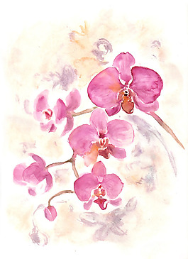 位圖 植物 寫意花卉 花朵 蘭花 免費(fèi)素材