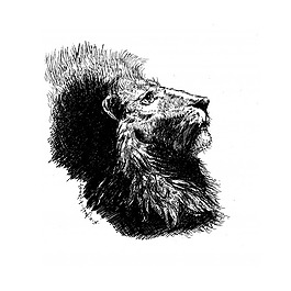 位圖 插畫(huà) 時(shí)尚插畫(huà) 動(dòng)物插畫(huà) 藝術(shù)效果 免費(fèi)素材