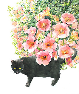 位圖 插畫 植物插畫 藝術效果 手繪 免費素材