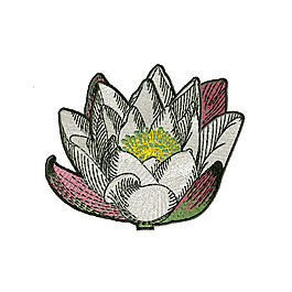 繡花 中國風 植物 花朵 荷花 免費素材