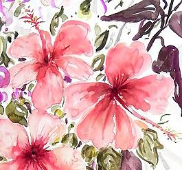 位圖 植物 寫意花卉 花朵 免費素材