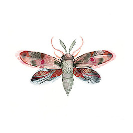 位圖 插畫(huà) 動(dòng)物插畫(huà) 插畫(huà)師 Amber 免費(fèi)素材