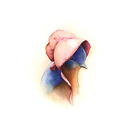 位圖 插畫(huà) 動(dòng)物插畫(huà) 插畫(huà)師 Amber 免費(fèi)素材