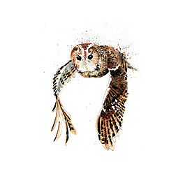 位圖 插畫(huà) 動(dòng)物插畫(huà) 藝術(shù)效果 手繪 免費(fèi)素材