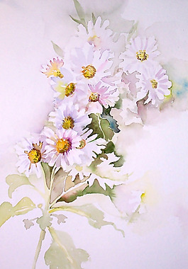 位圖 植物 寫意花卉 花朵 雛菊 免費(fèi)素材