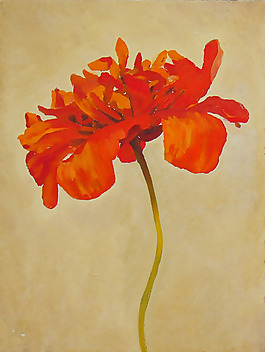 位圖 植物 寫意花卉 花朵 免費素材