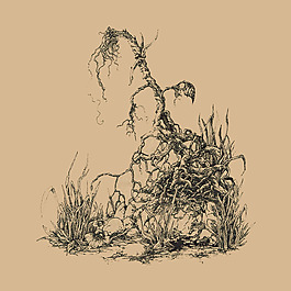 位圖 插畫 植物插畫 插畫師 Socar 免費(fèi)素材