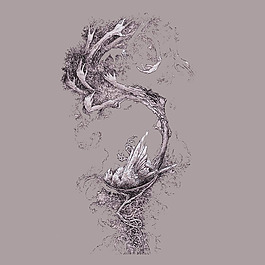 位圖 插畫 植物插畫 插畫師 Socar 免費素材